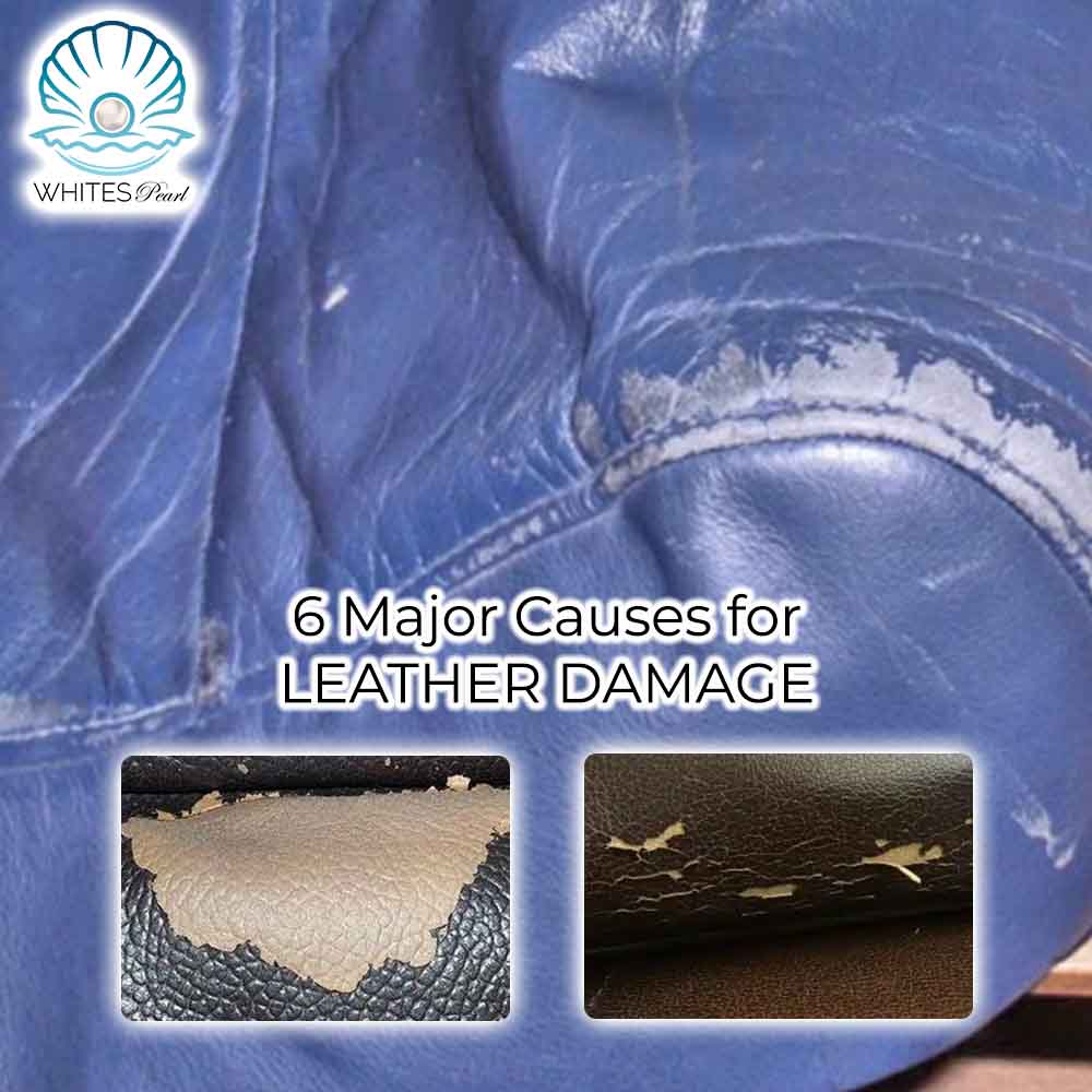 6 Major Causes for Leather Damage