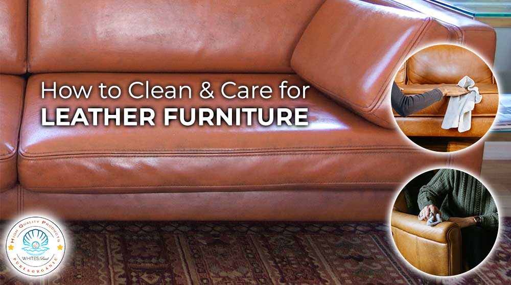 How to clean and care for leather furniture
