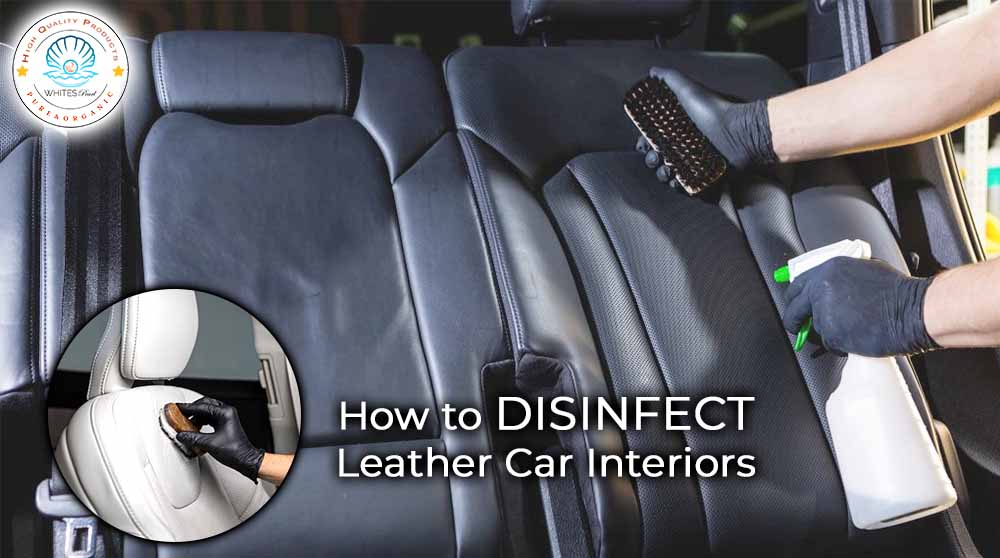 Disinfecting Leather Car Interiors