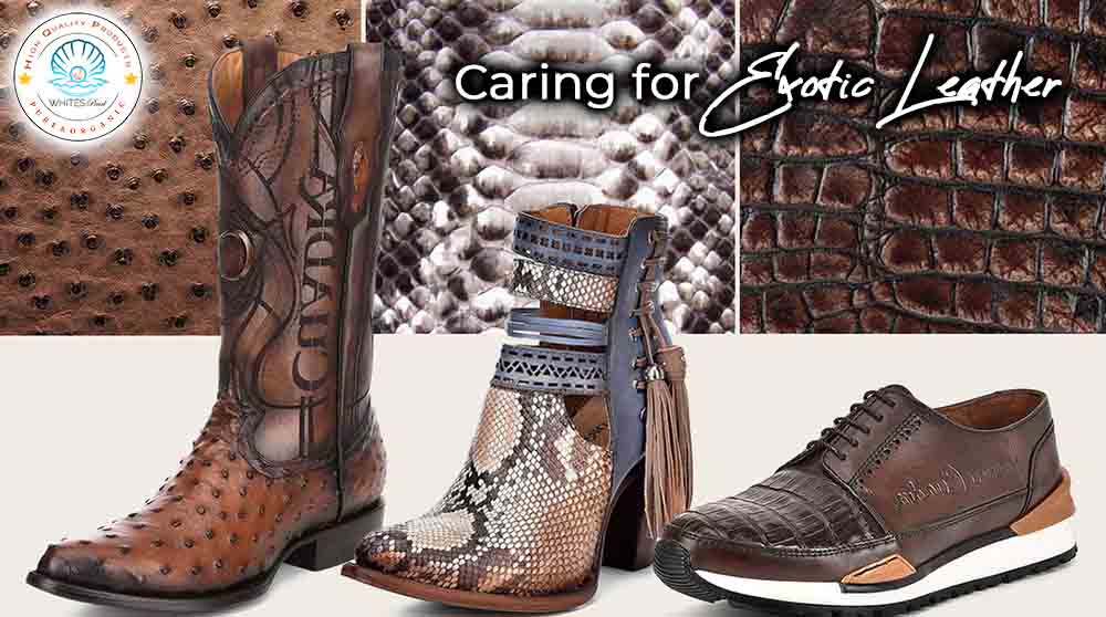 Caring for exotic leather