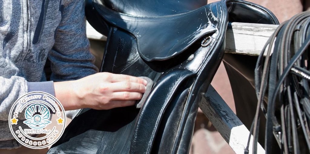 Caring for leather saddle and horse tack