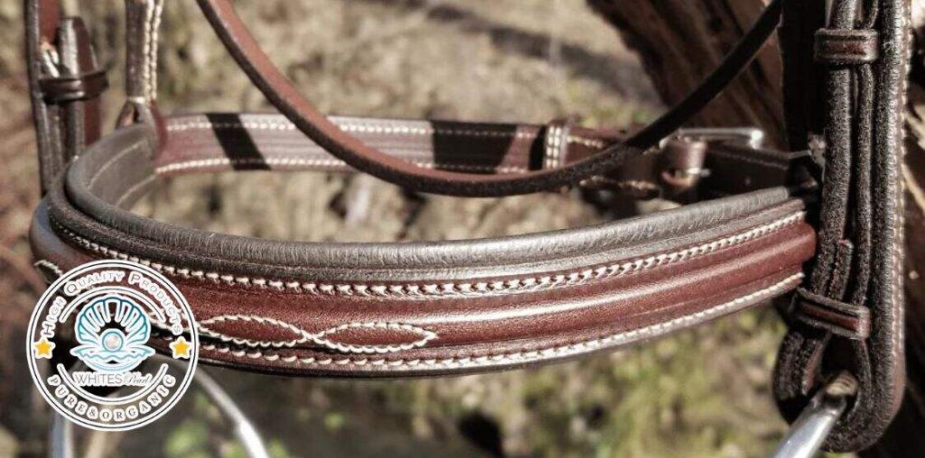 Cleaning a leather bridle