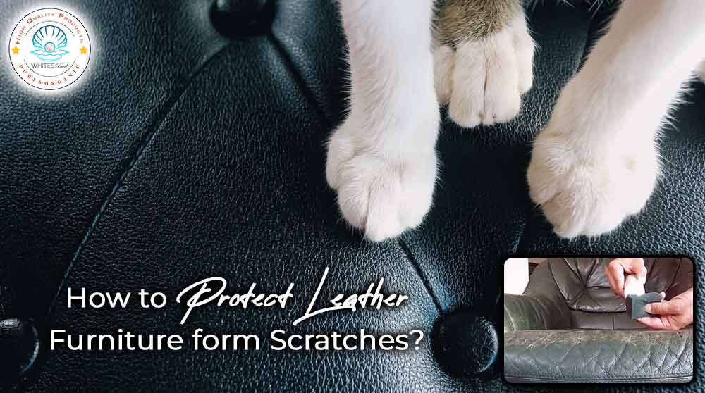 How to protect leather furniture form scratches