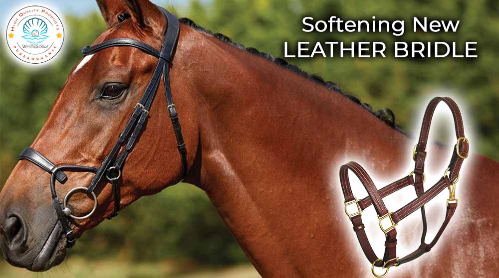 Softening new leather bridle