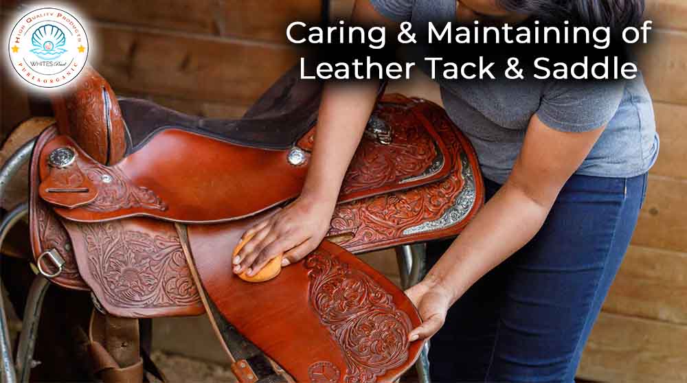 caring and maintaining horse tack and leather saddle