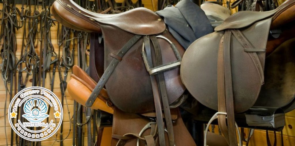 storing leather saddle and horse tack