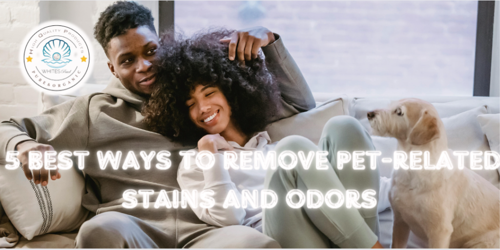 Ultimate Guide to Leather Care for Pet Owners: 5 Best Ways to Remove Pet-related Stains and Odors