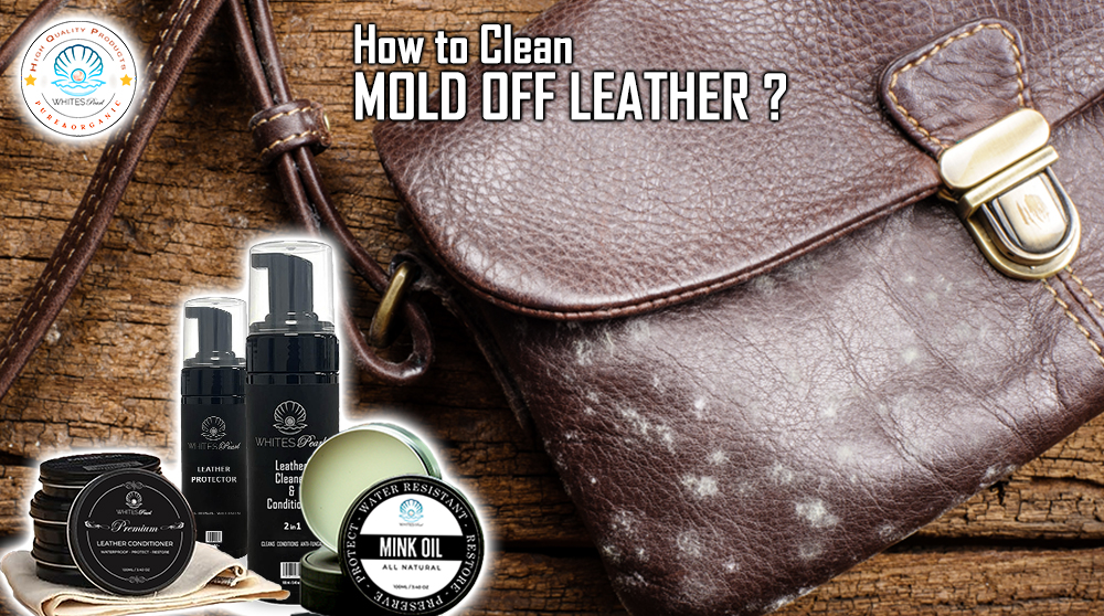 How to clean mold off leather